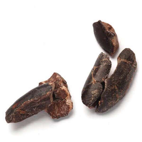 Eclipse Organics - Wholesale Chocolate - Organic Cacao Nibs