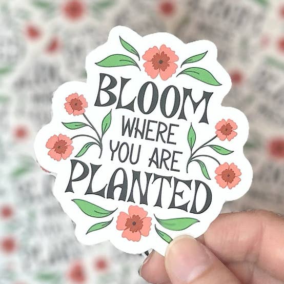 Floresce Onde Estás Plantado Autocolante com Letra à Mão por atacado de CWB Designs