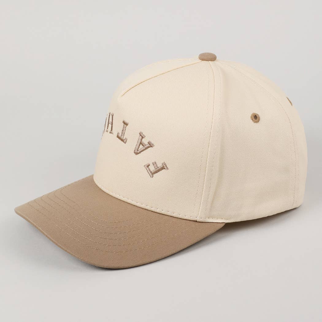 Fashion City - Wholesale Baseball Cap - Men's - 	
FATHER Upside Down Embroidery Two-Tone Cap3