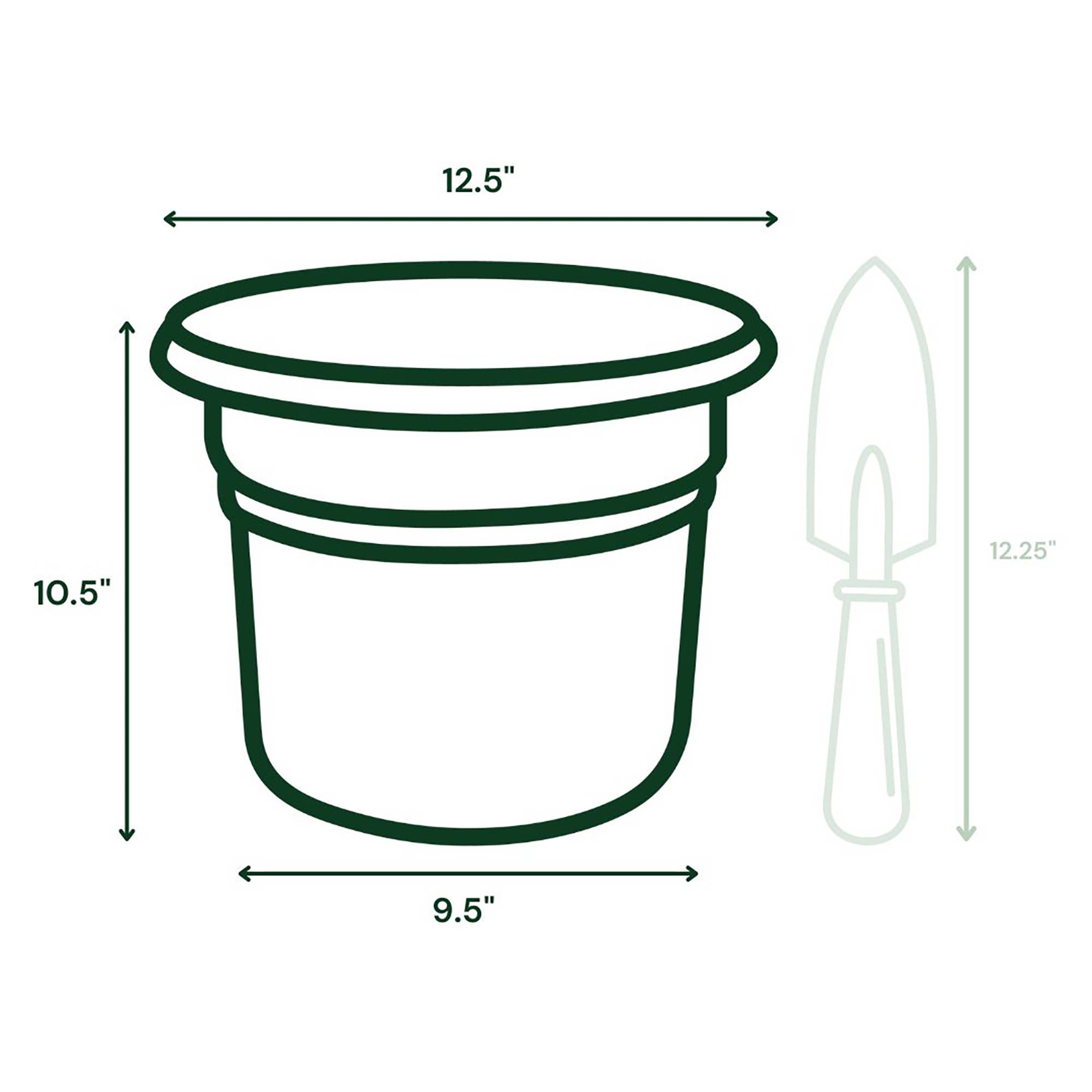 Bloem - Wholesale Plant Pot - Posy Plastic Planter Pot - Medium Sizes6