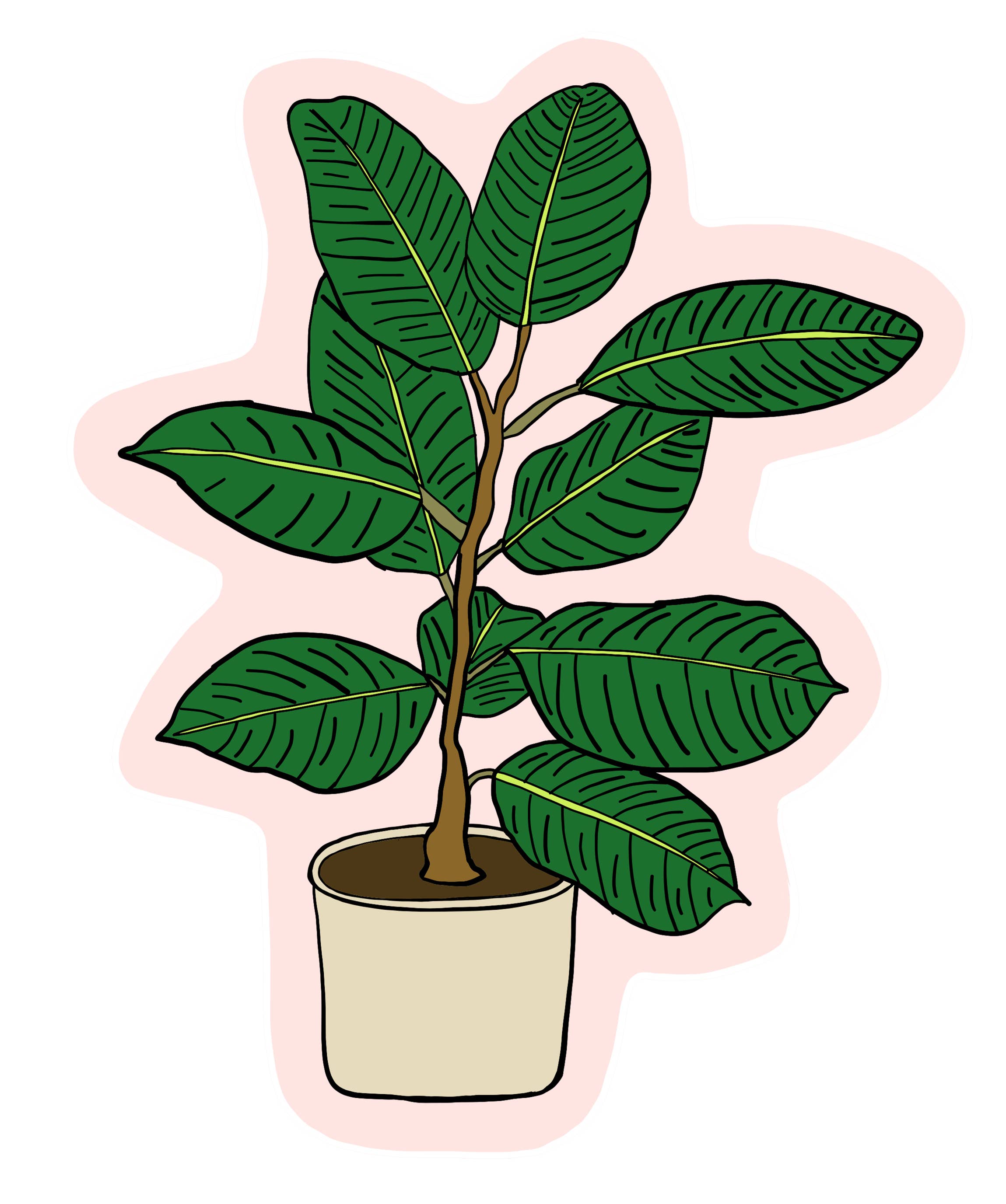 Made by Nilina - Vente Autocollant - Autocollant vinyle plante d'intérieur - Bégonia, plante de caoutchouc Ficus1