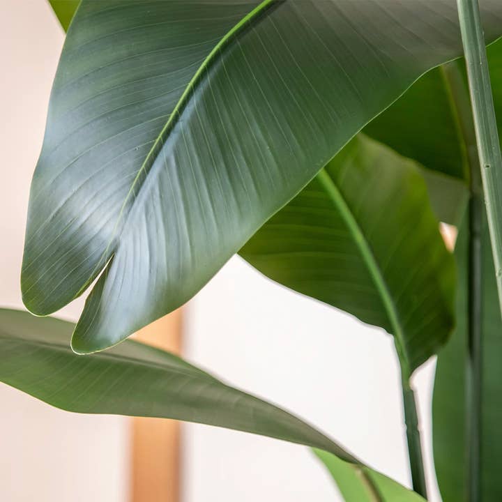 Maia Shop – Engroshandel Kunstig plante – Kunstig Paradisfugl 120 cm