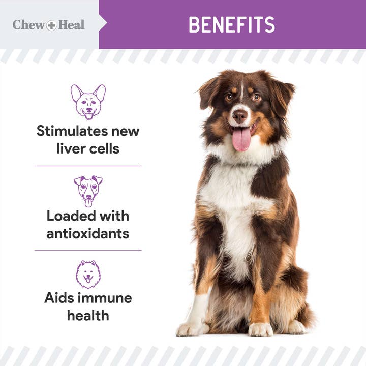 Chew + Heal - Wholesale Pet Supplement - Dog - Milk Thistle Tincture with Moringa & Salmon Oil for Dogs