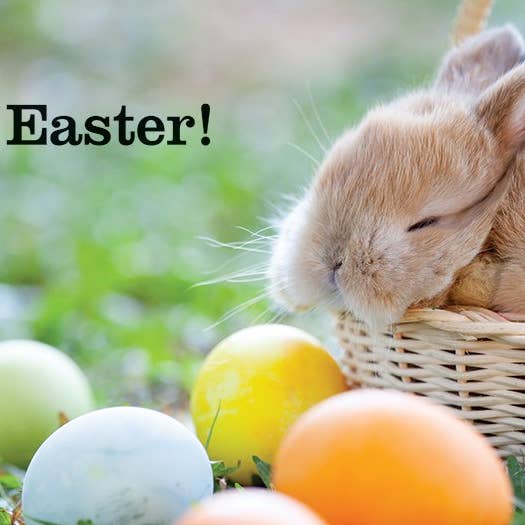 The Creative Company - Wholesale Early Reader Book (6-8) - Seedlings: Easter1