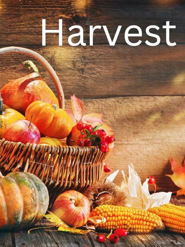 Soy Wax Melts - Harvest for wholesale by Carmans Candles