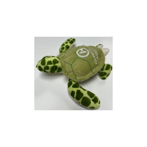 Green Sea Turtle Plush for wholesale by MARINE LIFE RESCUE PROJECT
