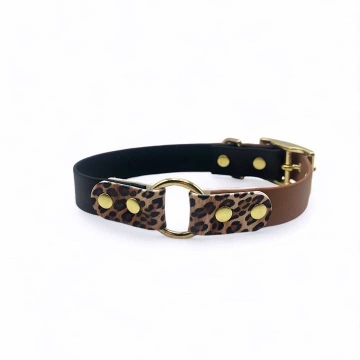 Splash By Happy - Wholesale Pet Collar - Dog - 🐆 WILD Collection 🐆0