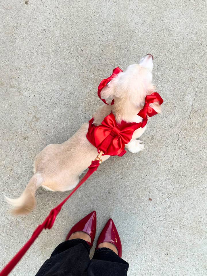 Wander! Bow Harness Cherry for wholesale by FURRY MUSE