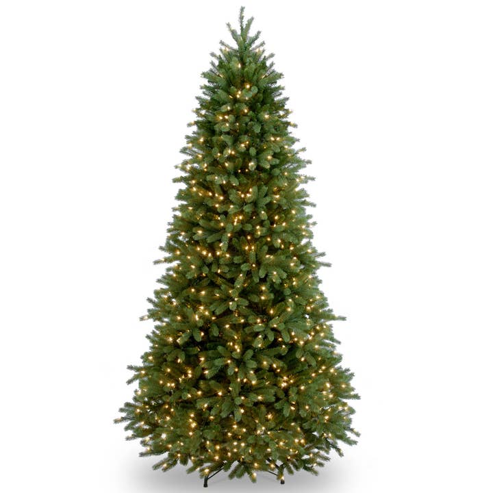 6.5 ft. Pre-Lit Jersey Fraser Fir Slim Tree with Clear Lights, Plug-In for wholesale by National Tree Company