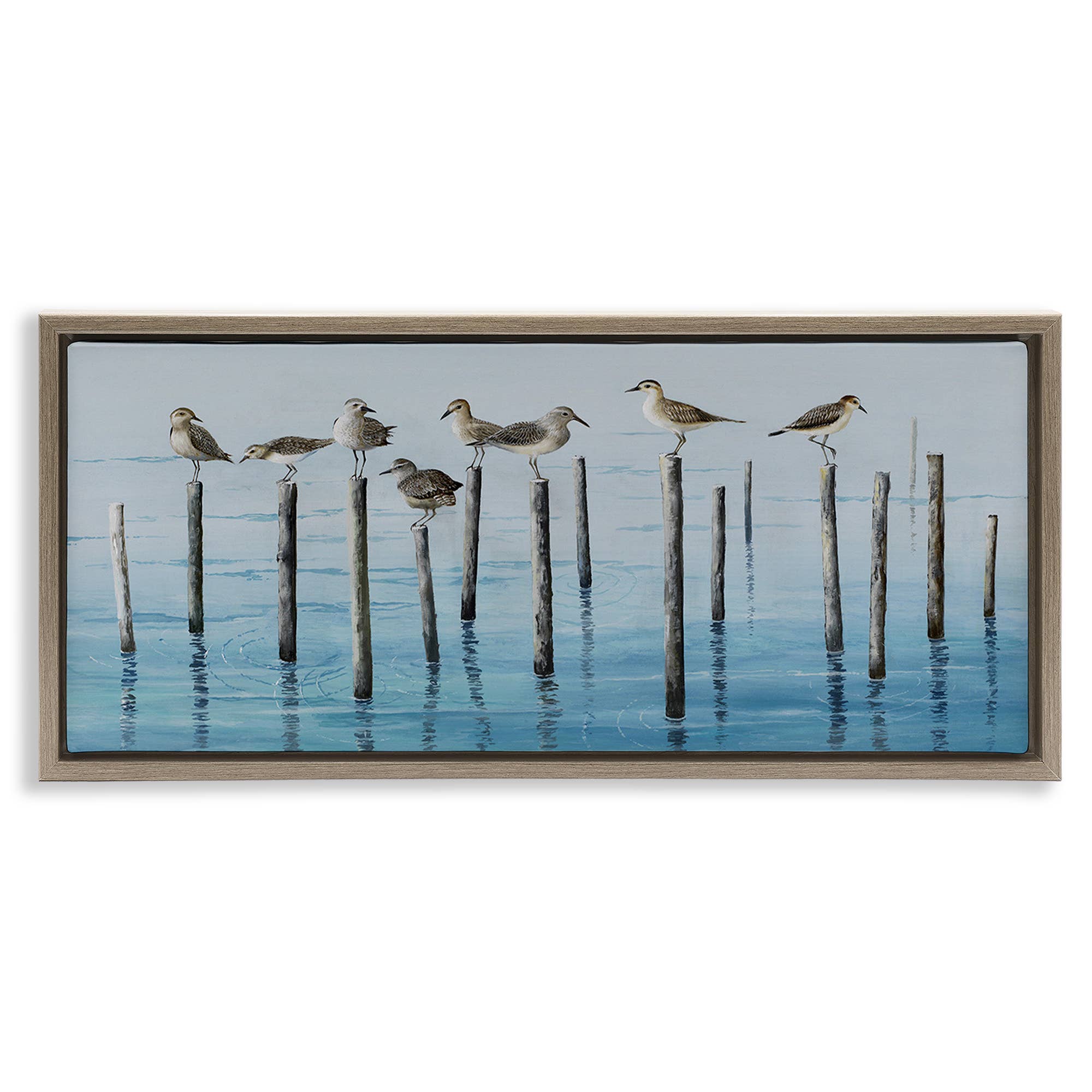 Stupell Industries - Wholesale Wall Sign - Perched Sea Birds - Framed Wall Art24