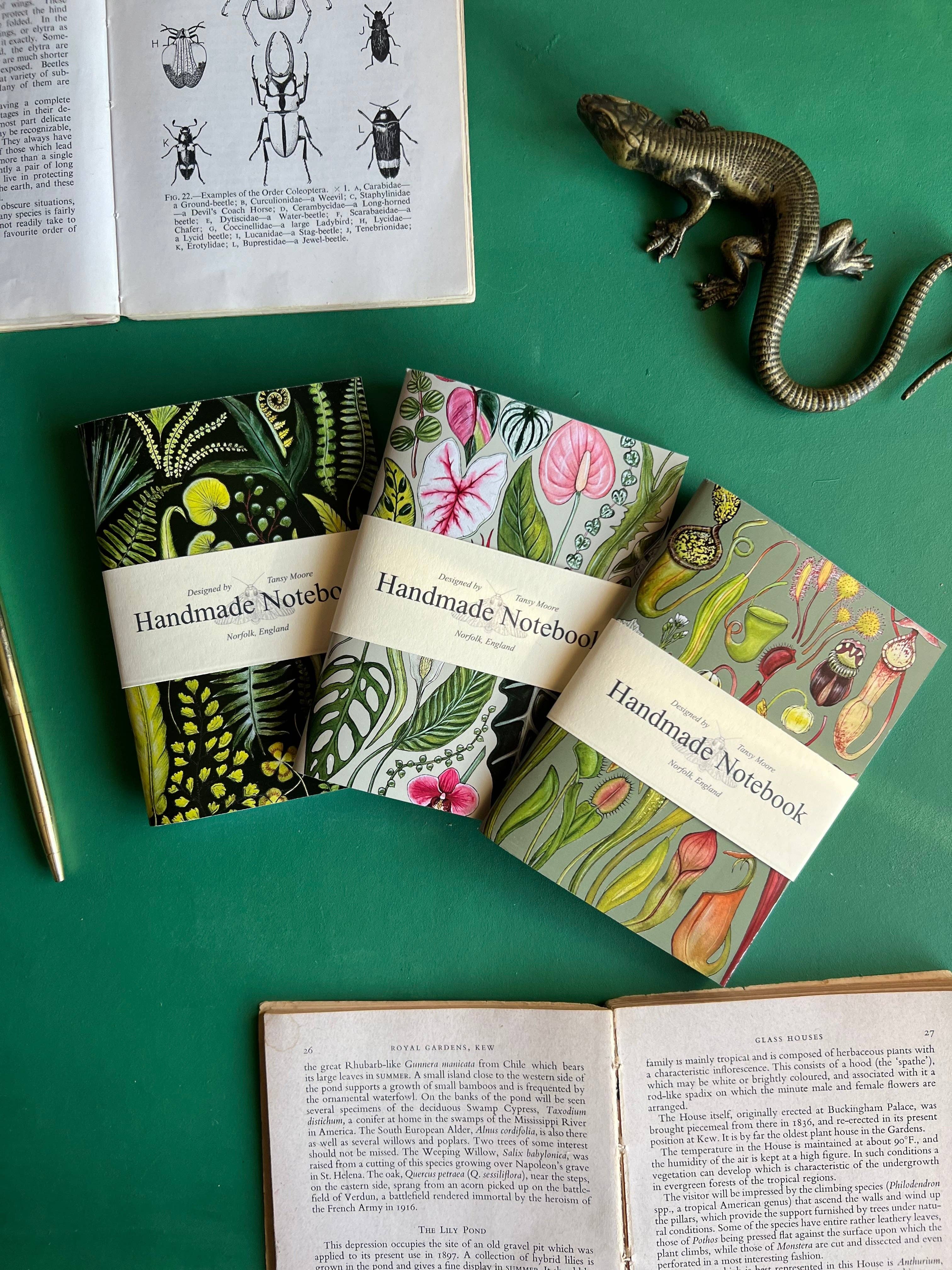 Tansy Moore - Vente Cahiers - Ensemble de carnets de poche Plantes0