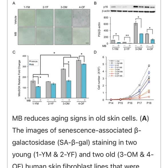Aloe Tallow - Vendita all'ingrosso Sieri/creme concentrate per il viso - Siero Riparatore per la Pelle al Blu di Metilene e Sebo7