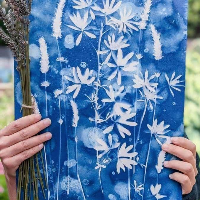 Carte d'art giclée Cyanotype Lupin & Lavande pour la vente par Cascade Press