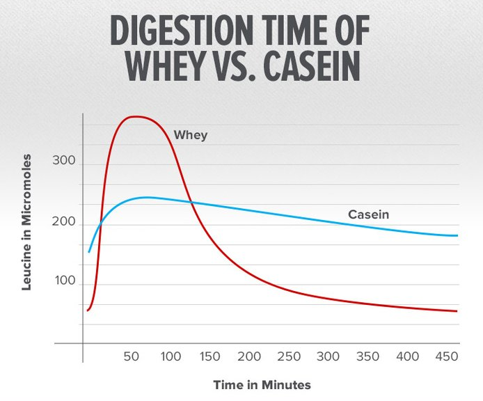 Puriva Nutrition - Wholesale Protein/Superfood Powder - Protein powder, Hydrolyzed Whey Protein Isolate, plain, 1 pound, Puriva Nutrition7