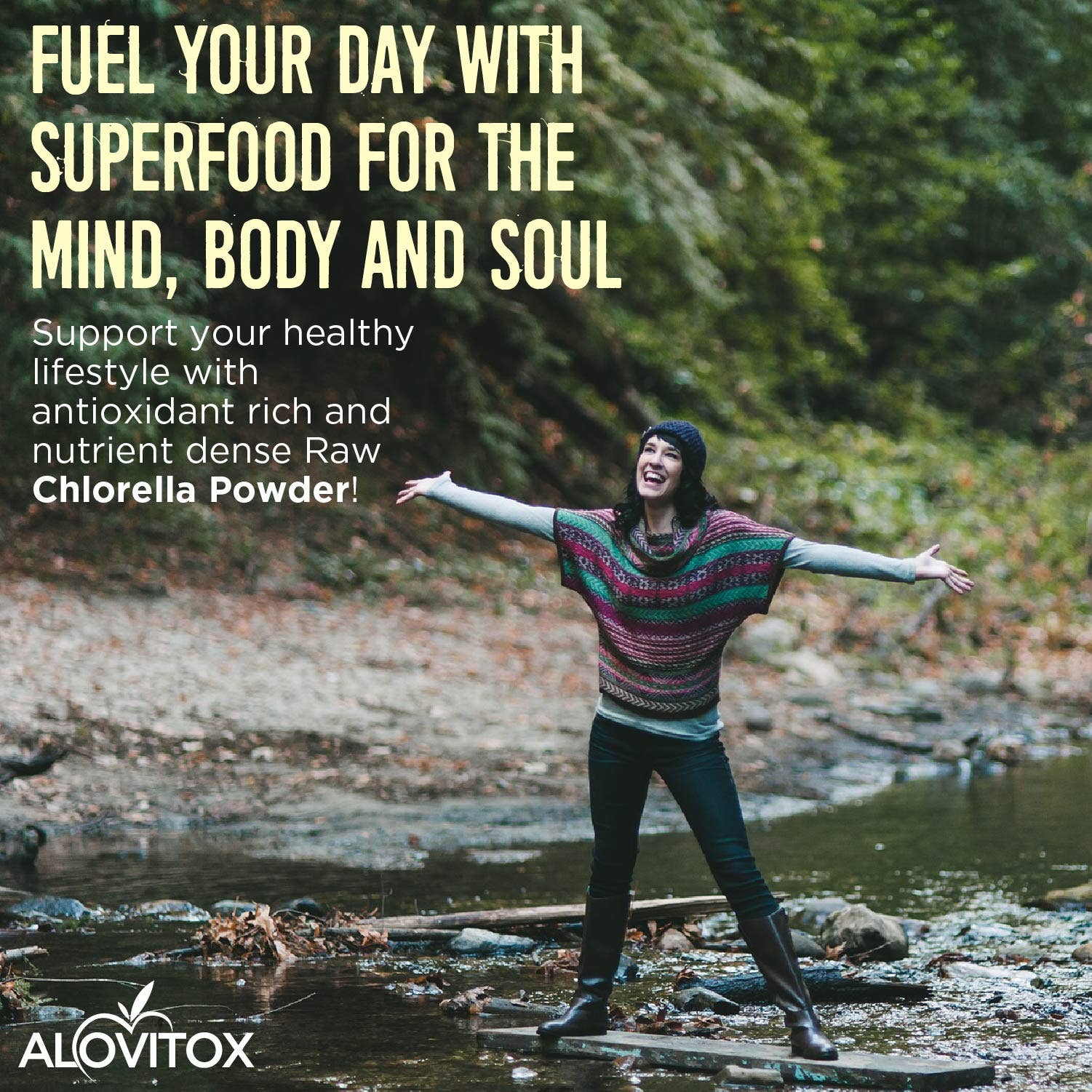 Alovitox – wholesale Protein/superfood powder – 8oz Certified Organic Chlorella Powder6