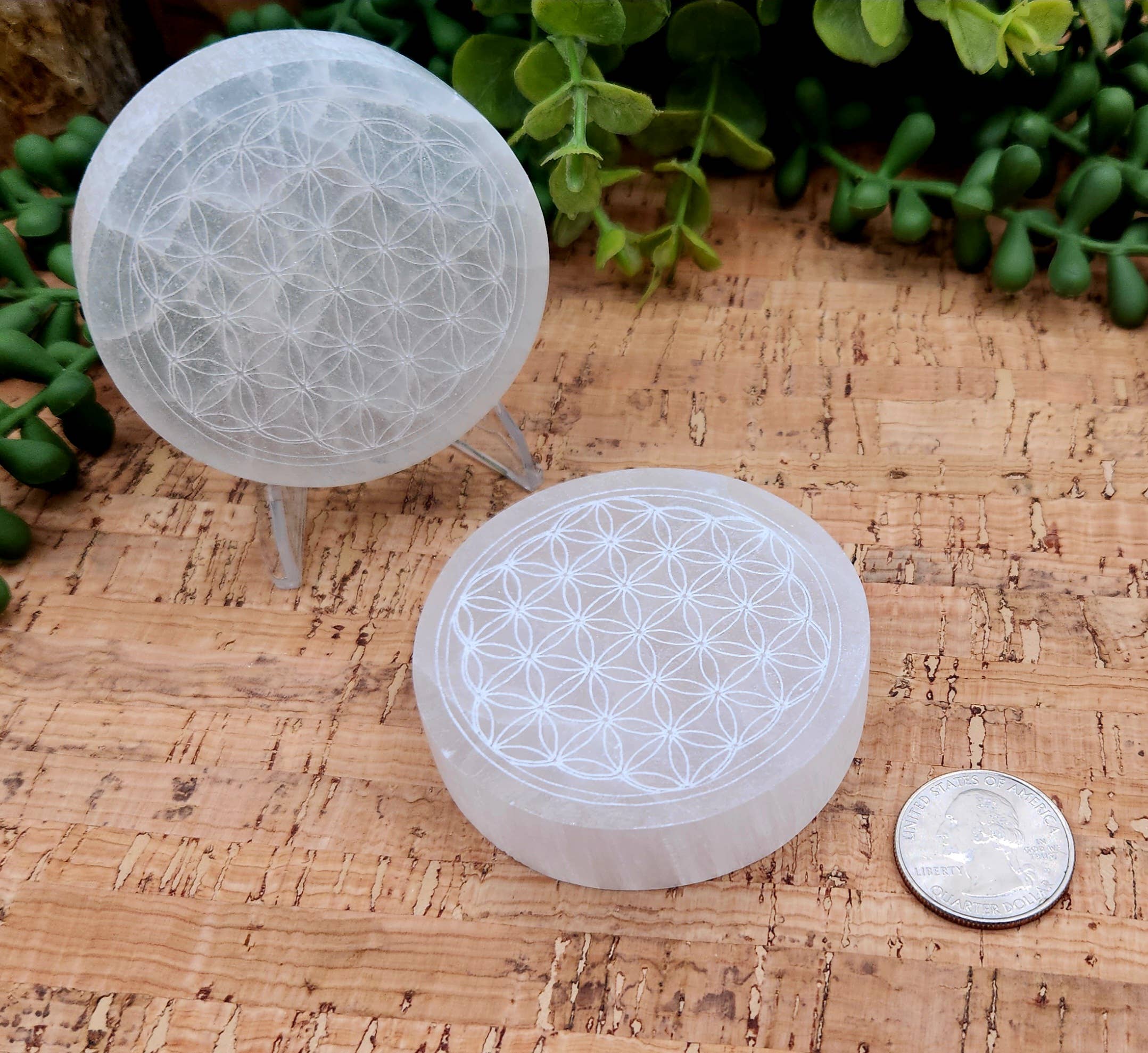 Meraki Gemstones - Wholesale Spiritual Stone/Crystal - Selenite Charging Plate/Coaster Round - Flower of Life 6-7cm3
