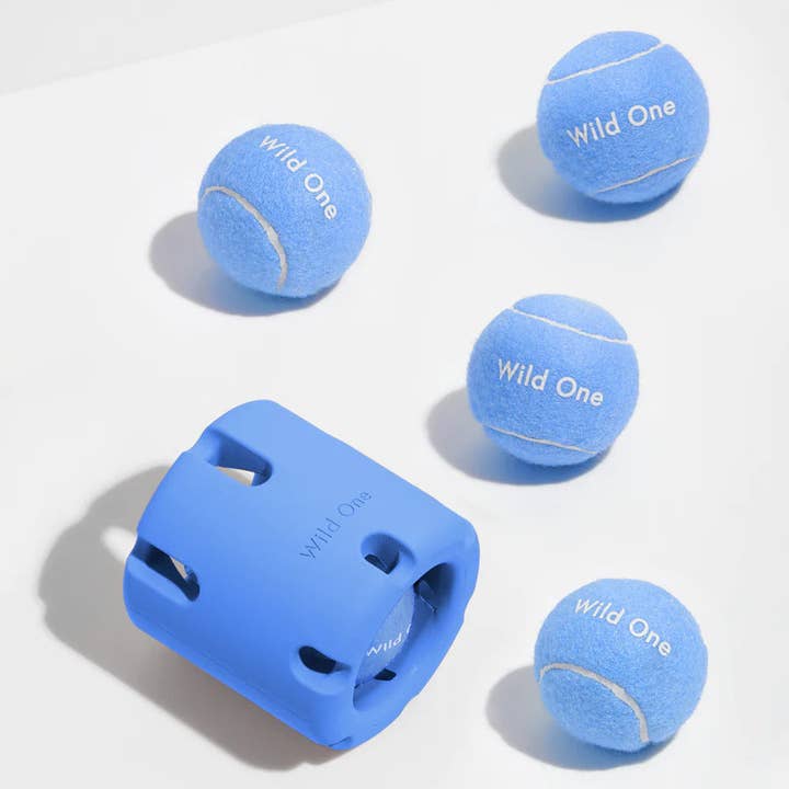 Wild One - Wholesale Pet fetch ball – Dog - 4 Tennis Balls8