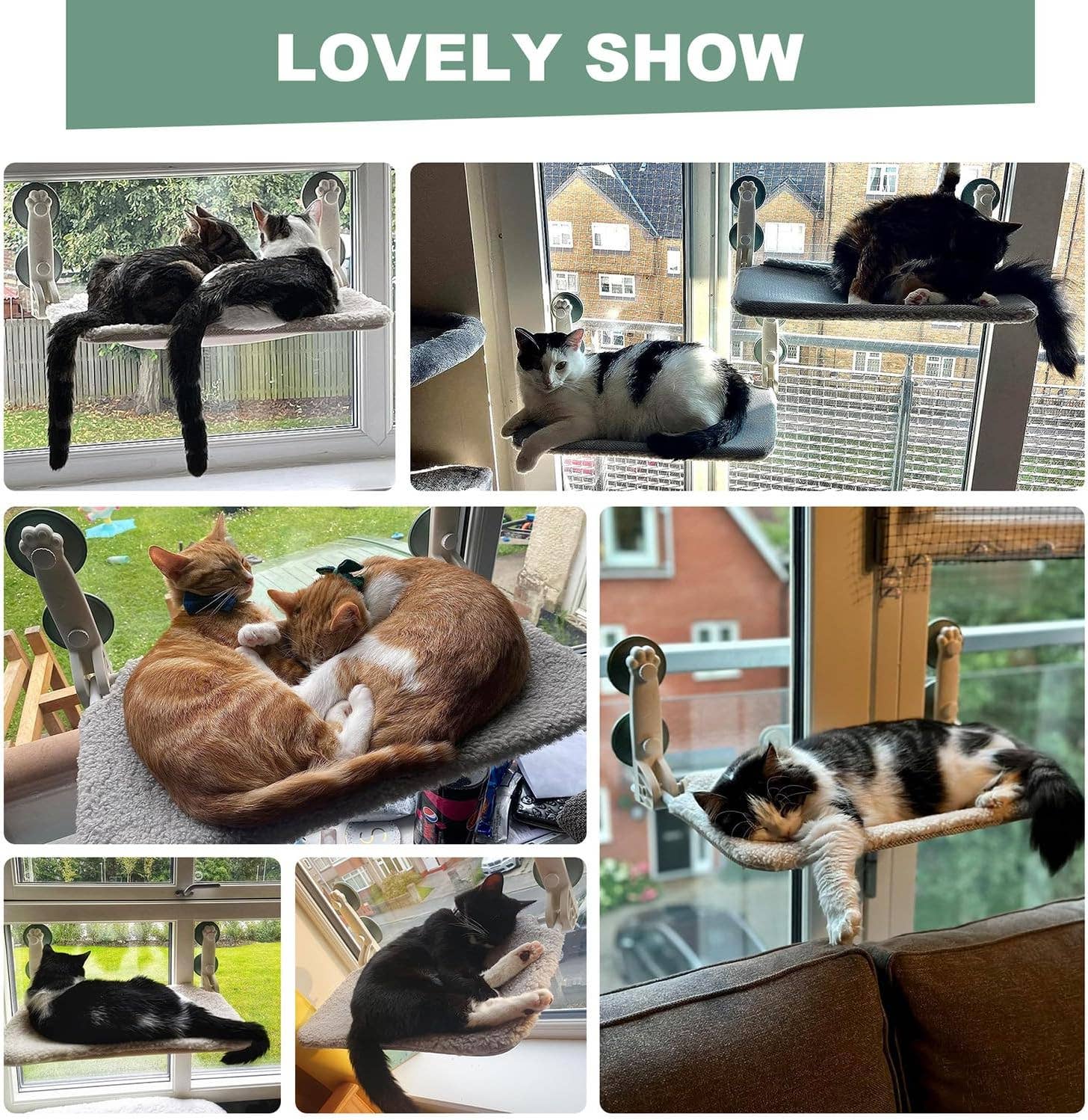 Robud & Mewoofun Official Store - Wholesale Pet Bed - Cat/Dog - Foldable Cat Window Hammock Bed with Reversible Bed Indoor4