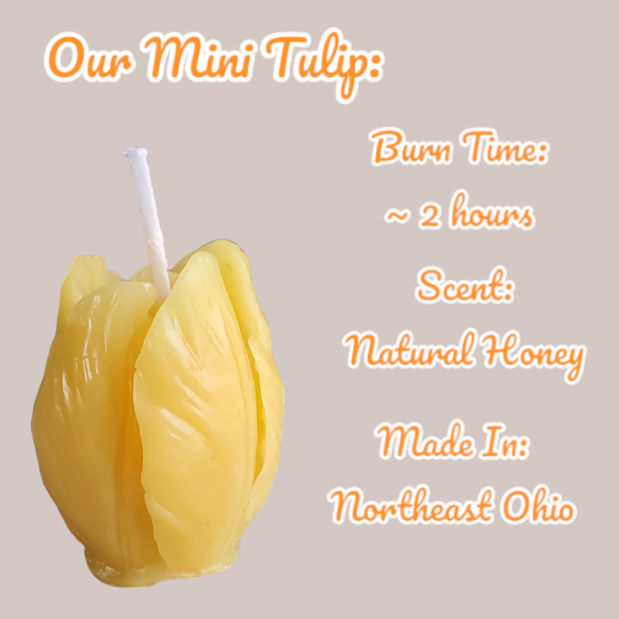 Different Branches – wholesale Novelty candle – Handmade in Ohio Single pure beeswax tulip candle no drip4
