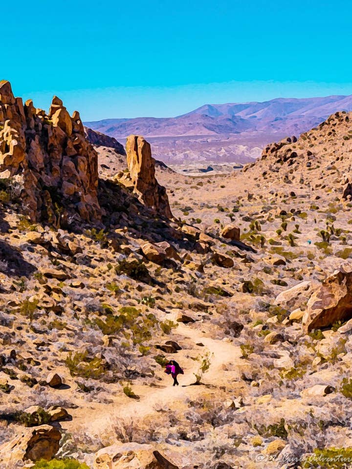 Watercolor Digital Prints - Desert Landscape for wholesale by My Curly Adventures