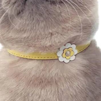DOGUE Gelato Blomma Läder Katt Halsband för wholesale av DOGUE
