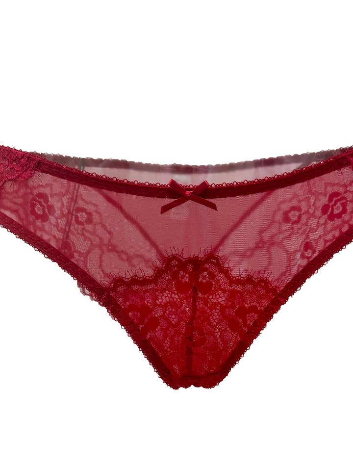 Ruby Nocturne Lace and Mesh Bikini Panty for wholesale by Carol Coelho Intimates