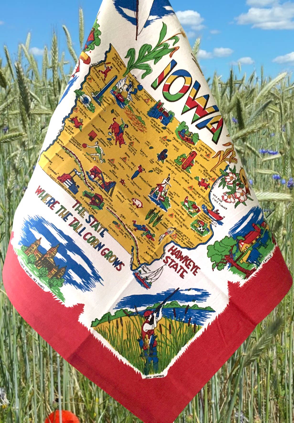 Red and White Kitchen Company - Vente Torchons - Torchon de cuisine rétro avec motif carte de l'Iowa1