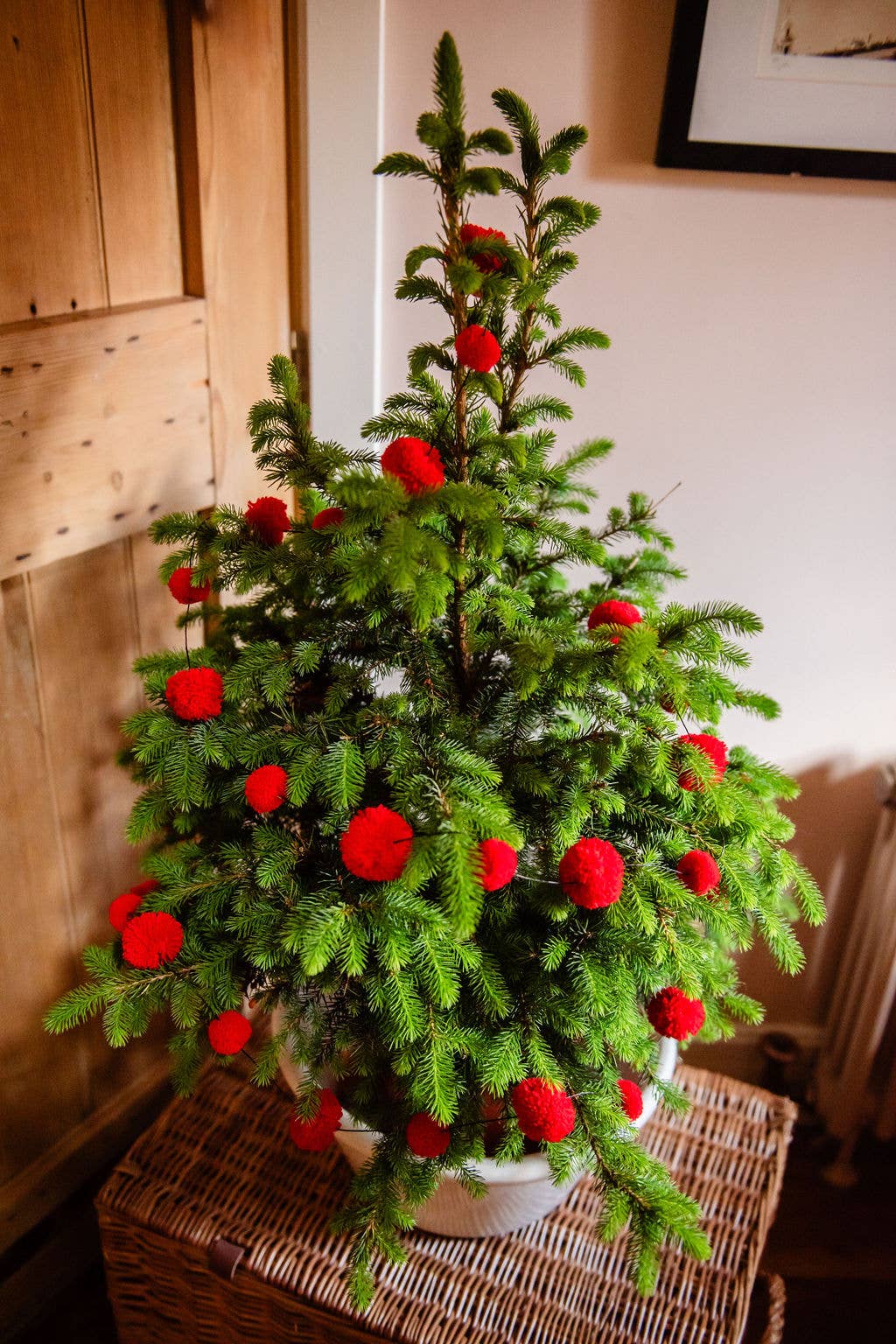 PomPom Galore - Wholesale Kerstdecoratie - Kerstmis Rode Pom Pom Slinger5