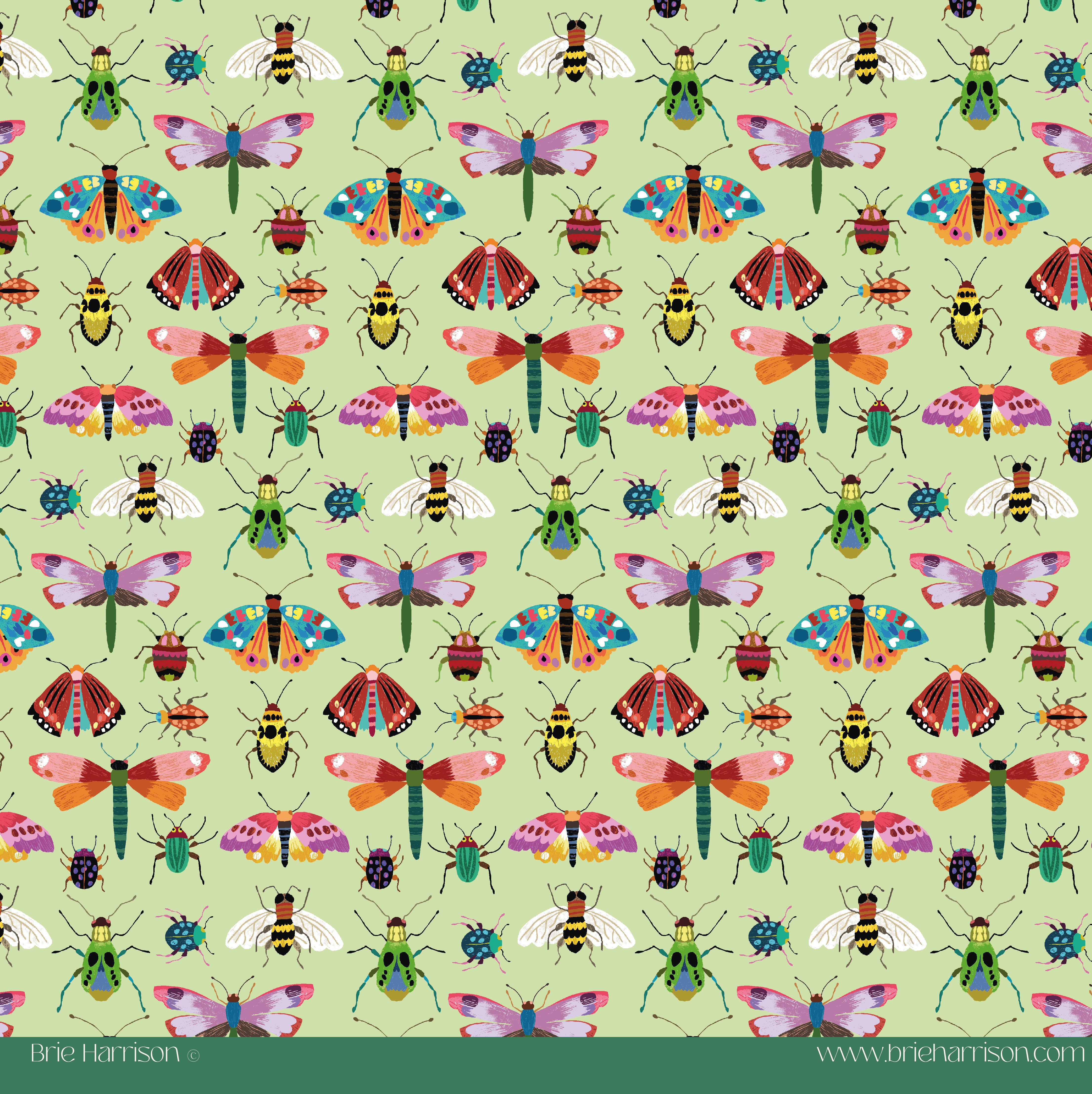 Brie Harrison Ltd – wholesale Flat wrap – Insects Gift Wrap 3
