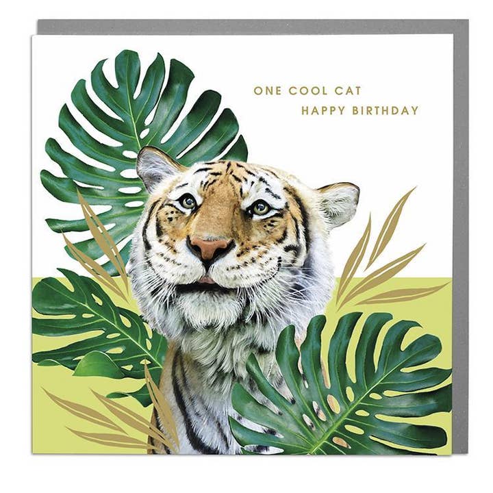 Tiger One Cool Cat Birthday Card for wholesale by Lola Design Ltd