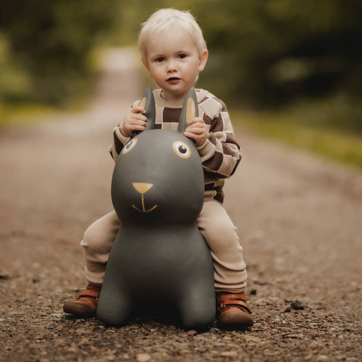 Find that hippo – wholesale Klassisk leksak - Barn – Hoppande djur - kanin