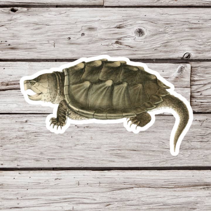 Snapping Turtle Sticker, Turtle Sticker, Reptile Sticker and other Purchase Wholesale snapping turtle. Free Returns & Net 60 Terms on Faire trending on Faire.