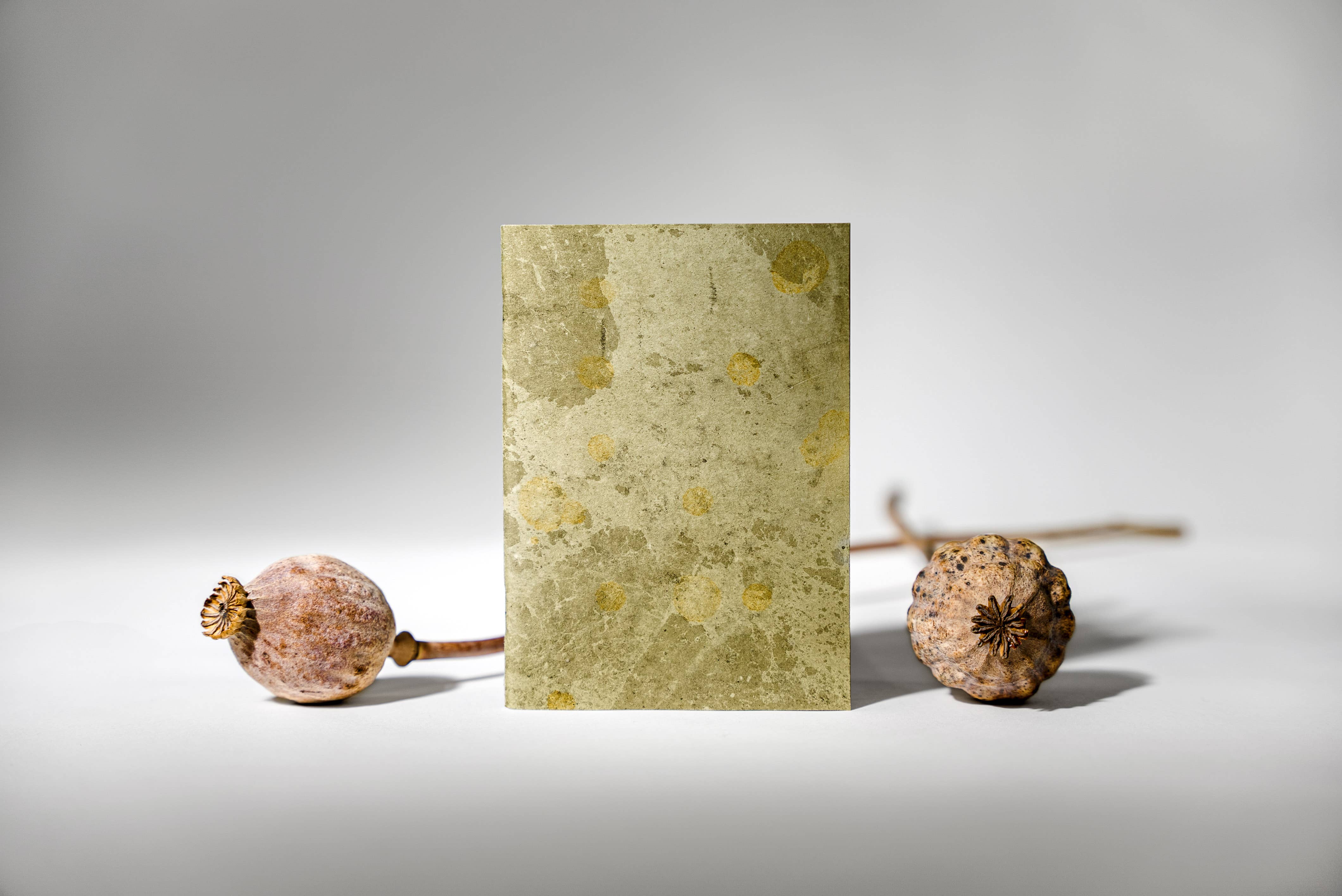 Cueillette – Engroshandel Notesbog – Vegetabilsk notesbog8