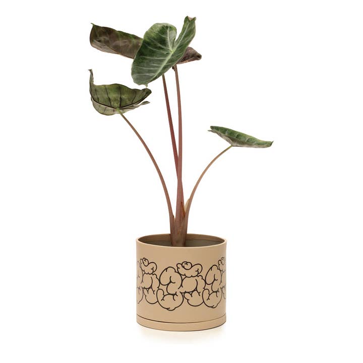Soul of the Party - Wholesale Plant Pot - Om Aum Planter | Spiritual Gift 🕉