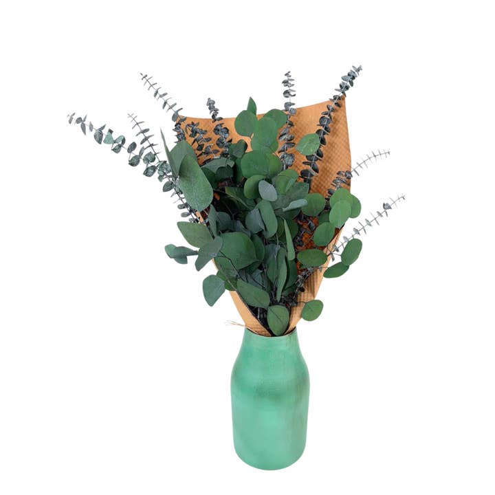 Andaluca - Wholesale Dried/Pressed Flowers - Silver Dollar & Baby Eucalyptus 8 ounce Preserved Bundle