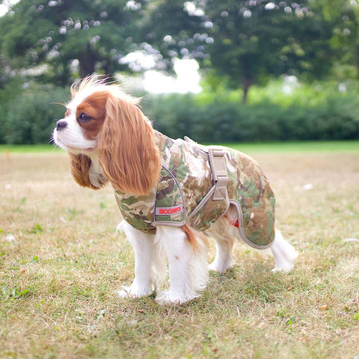 New Camo Spirit 2.0 Water-Repellent Dog Coat for wholesale on Faire4