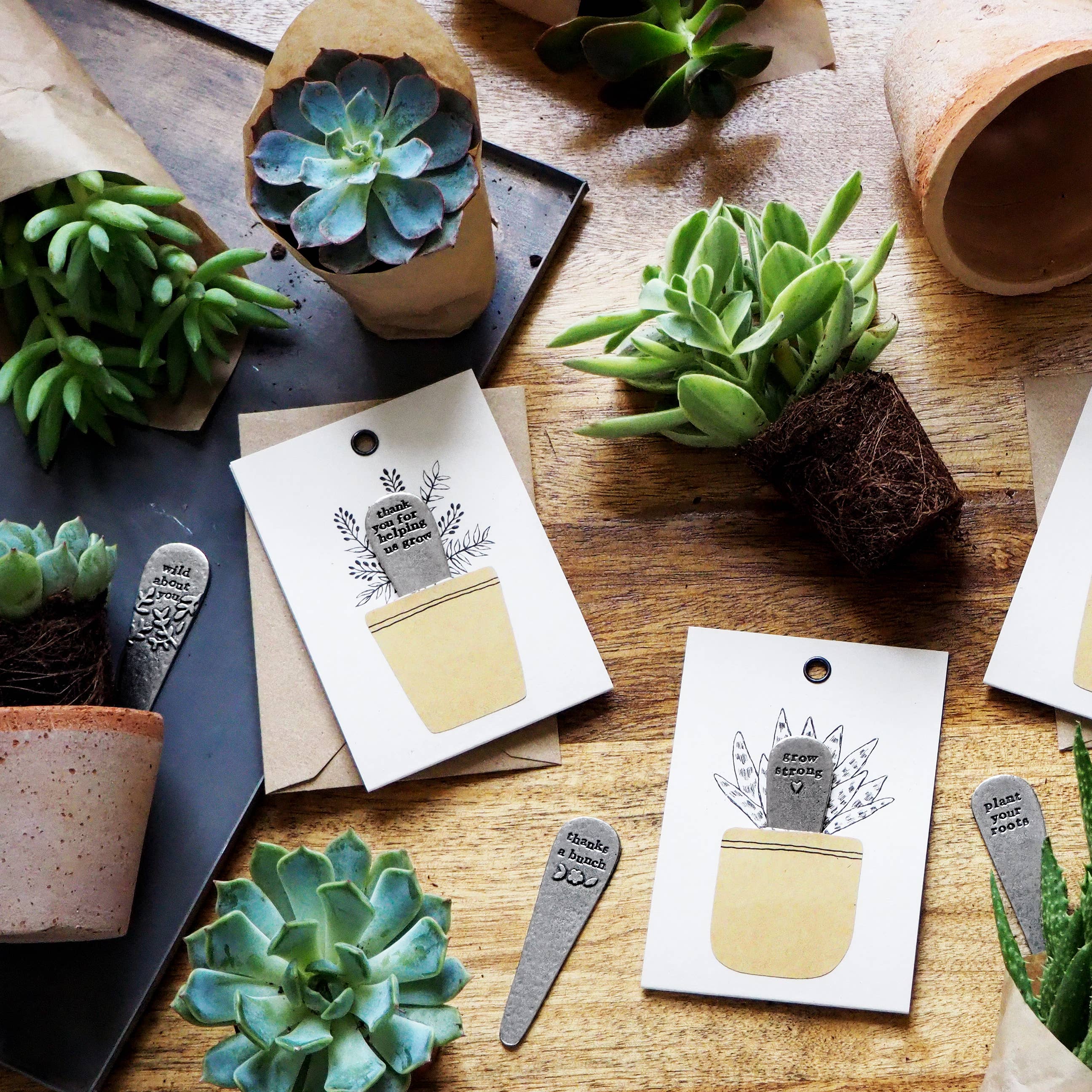 Kutuu – wholesale Plant seeds – 'Plant Your Roots' Plant Marker4