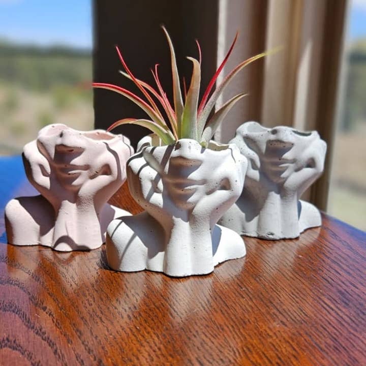 Dreamy Woman Air Plant Concrete Face Holder for wholesale by House Americana