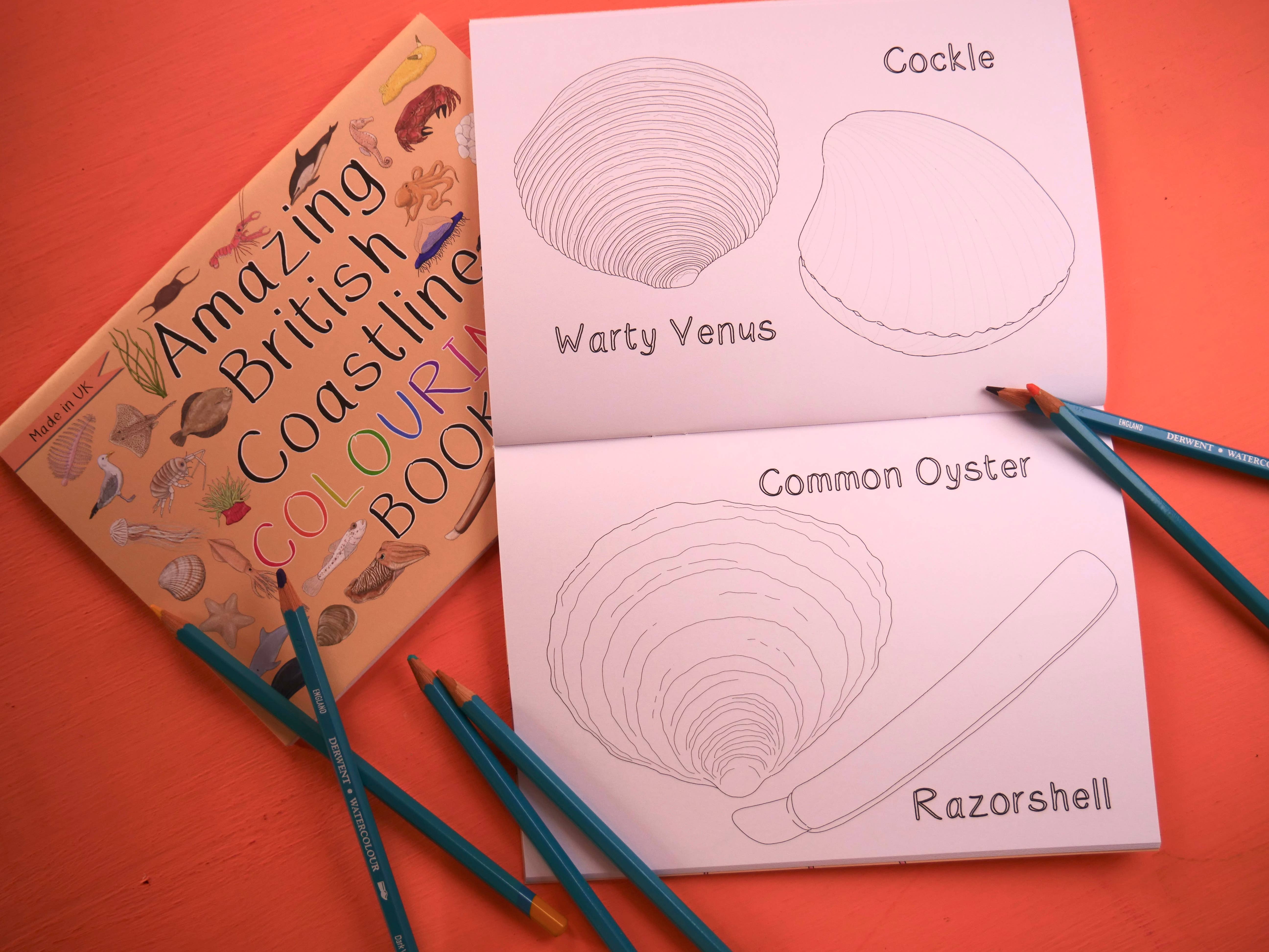 Button & Squirt – wholesale Colouring and activity book – kids and baby – Amazing British Coastline Colouring Book4