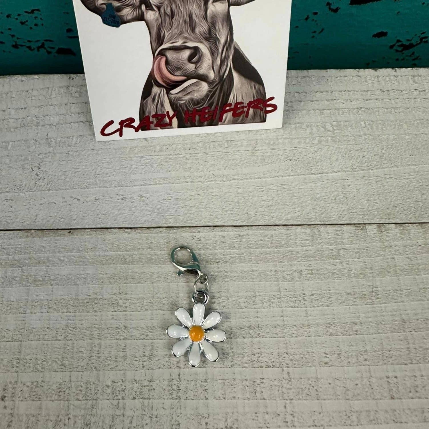 Crazy Heifers Wholesale - Wholesale Individual Charm/Pendant - Clip-on Charms Silver Tone11