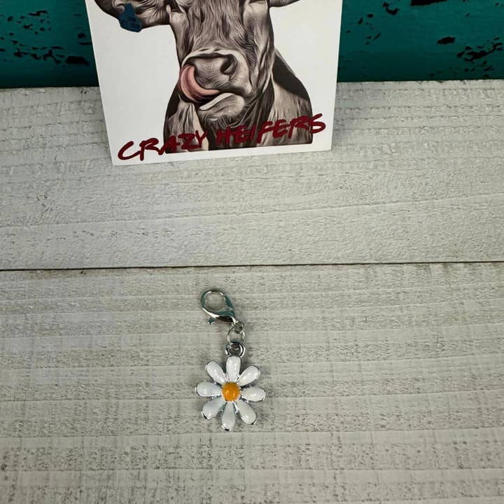Crazy Heifers Wholesale - Wholesale Individual Charm/Pendant - Clip-on Charms Silver Tone11