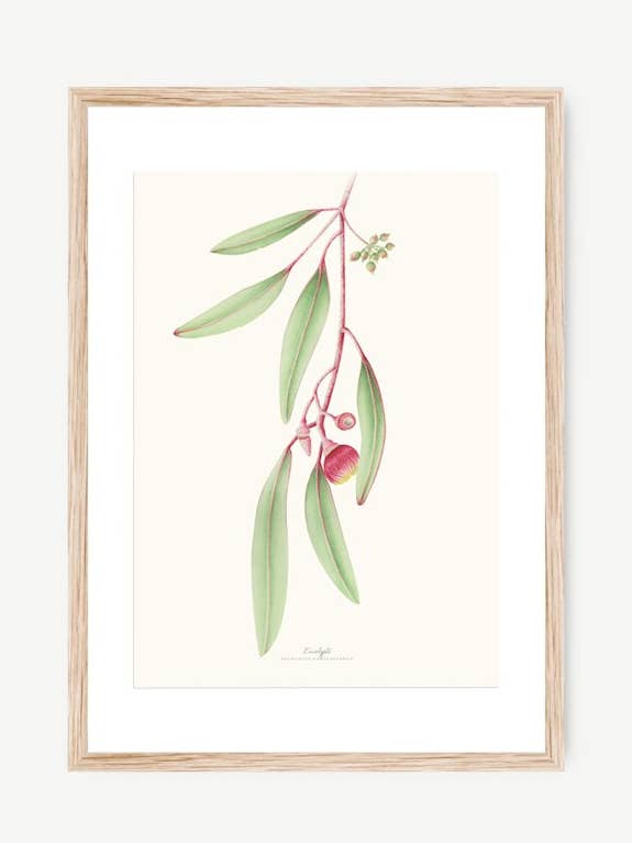 EUCALYPTUS Decorative Film for wholesale by Save the date projects