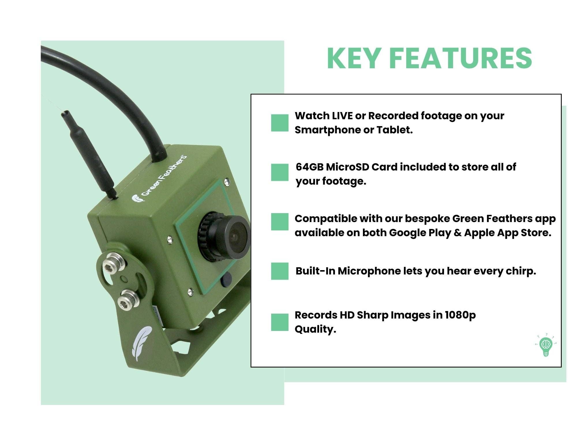 Green Feathers – wholesale Bird feeder – WiFi Bird Feeder HD Camera Pack13