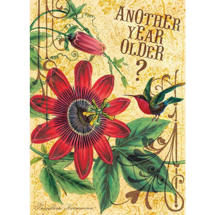 Another Year Older Greeting Card for wholesale by Potluck Press