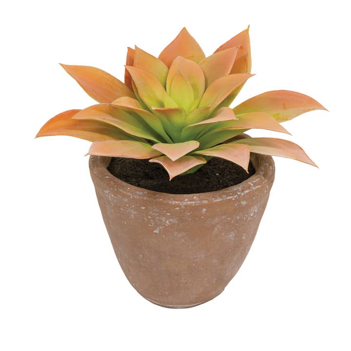 Col House Designs – wholesale Artificial plant – Potted Peach Agave Succulent