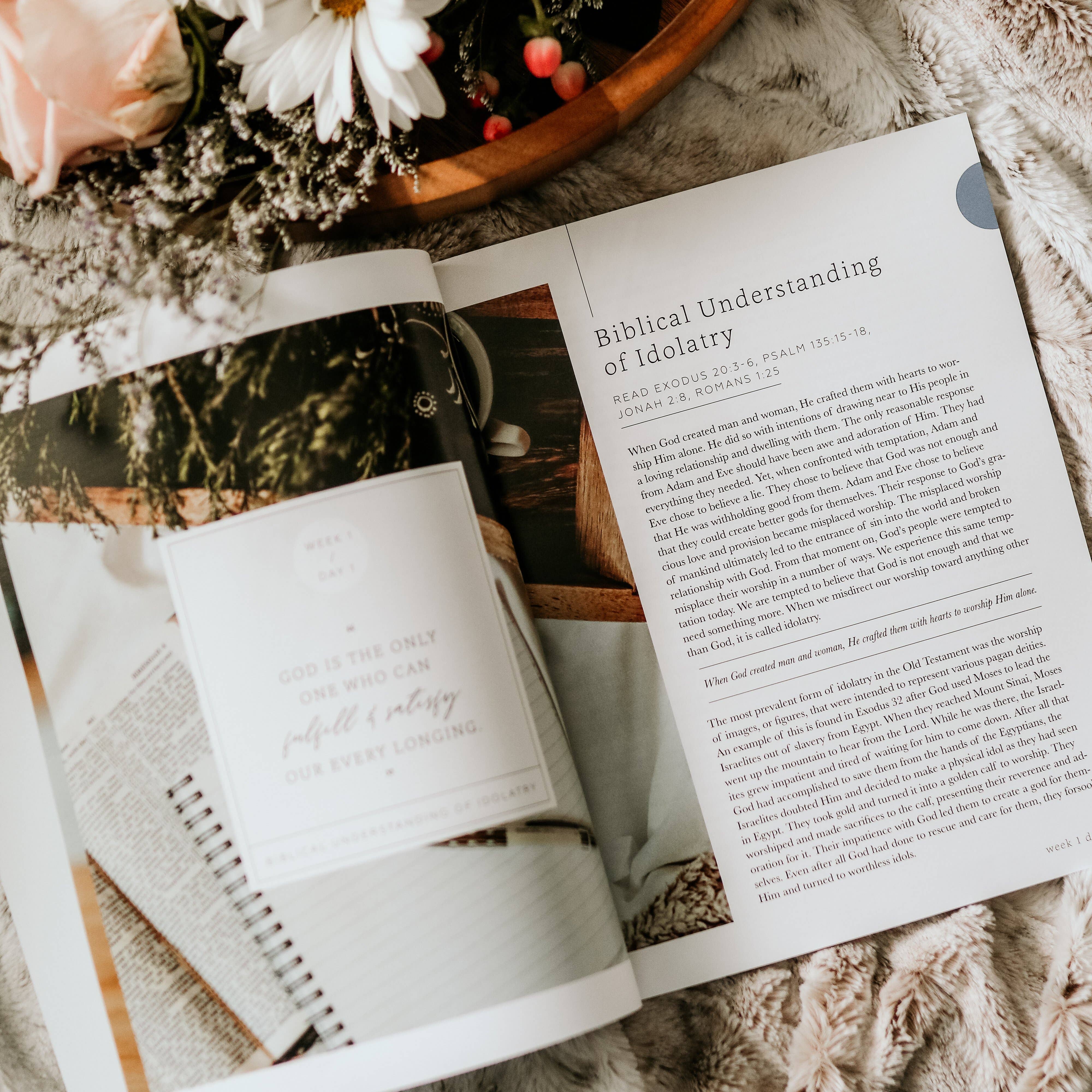 The Daily Grace Co - Wholesale Religion - More Than Anything | Idolatry Study3