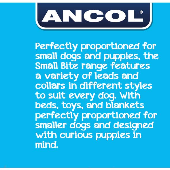 Ancol Pet Products Ltd - Wholesale Pet Collar - Dog - Small Pink Rainbow Collar & Lead Set2