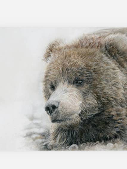 Grizzly Bear Greeting Card 'Poppa Bear' for wholesale by Crystal Clarke Animal Art