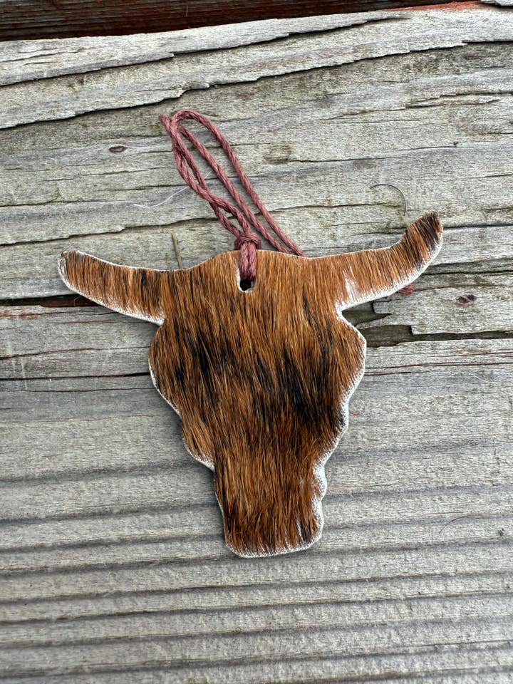 Hair-on cowhide bull head ornament/decor for wholesale by Wild Mountain Soul Designs