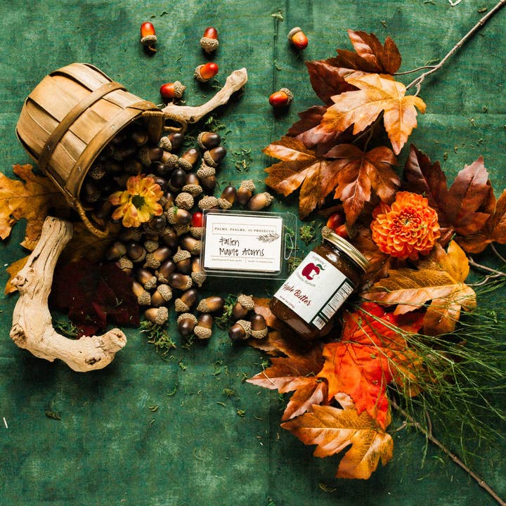 Faldne ahorn agern voksbrikker for engroshandel hos Palms, Psalms, & Prosecco